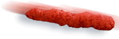 Paketaxo Cheeto Flamin